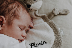 Florin-0043