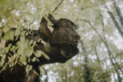 SAL04128