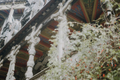 SAL04143