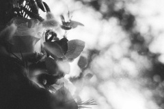 SinaMarco-0058-2