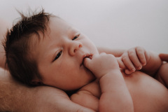 Theodor-final-0005
